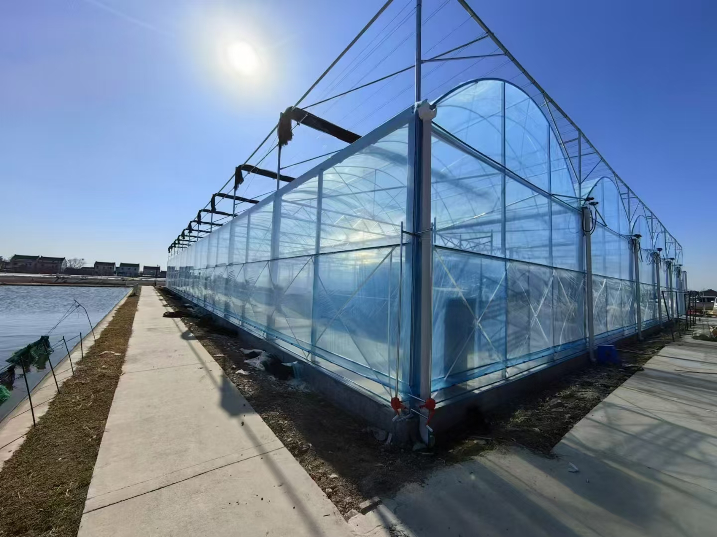 Multi-span film greenhouse corner with steel frame and covering
