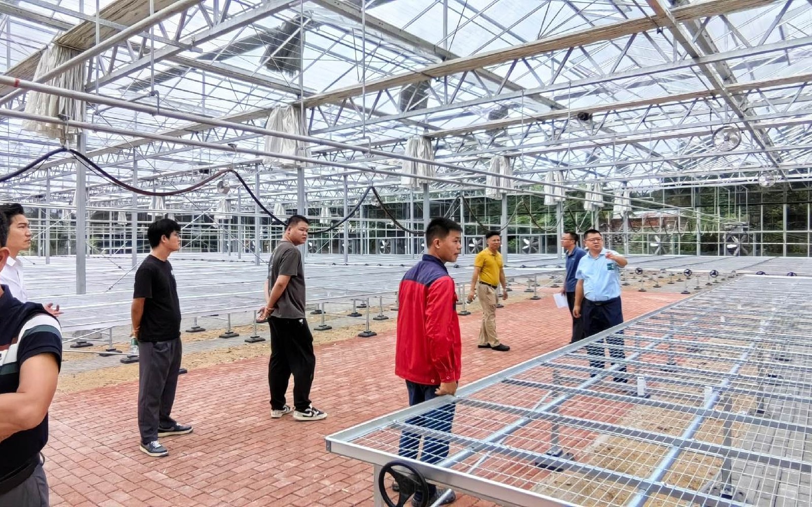 Interior glass greenhouse steel and aluminum frame