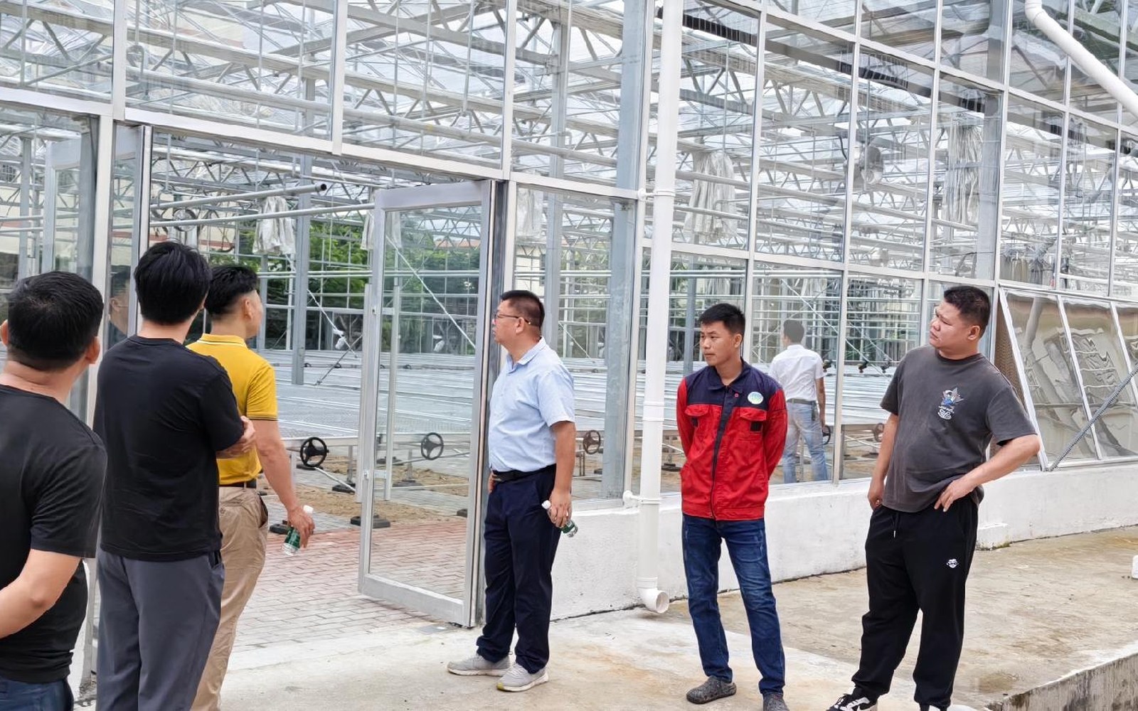 Team reviewing glass greenhouse project on site