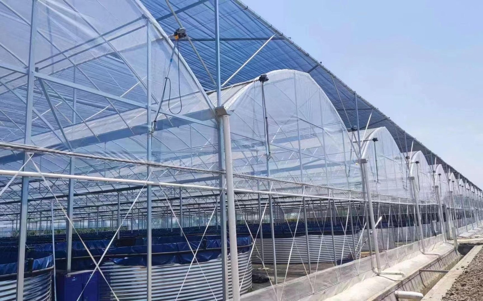 Greenhouse ventilation windows and roof structure