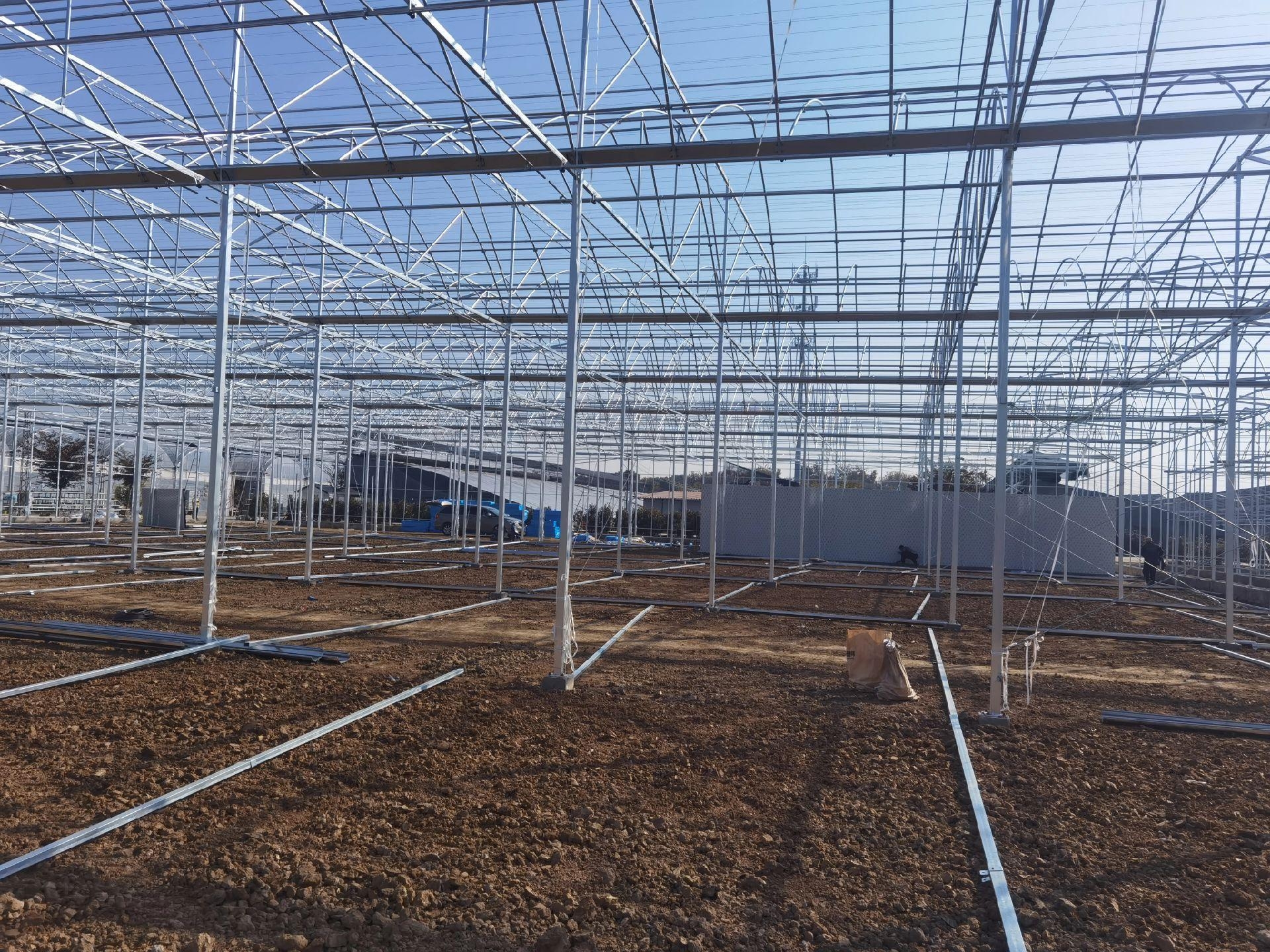 Multi-span greenhouse steel frame aisle for commercial farm projects