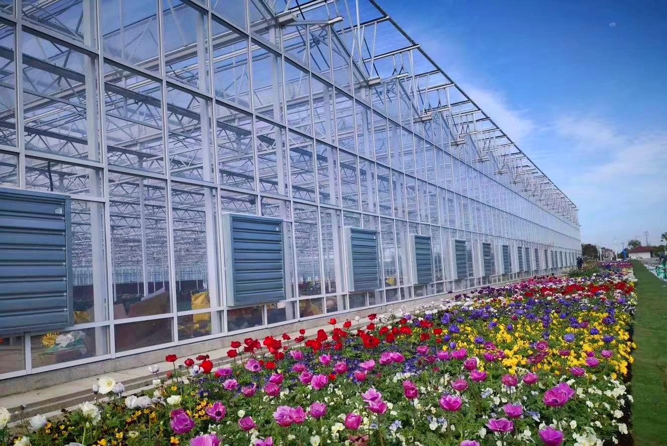 Multi-span greenhouse galvanized steel frame