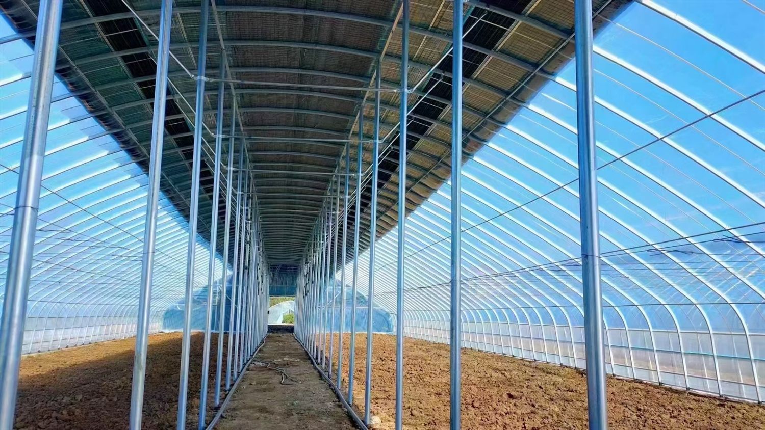 Covered walkway inside single-span greenhouse structure