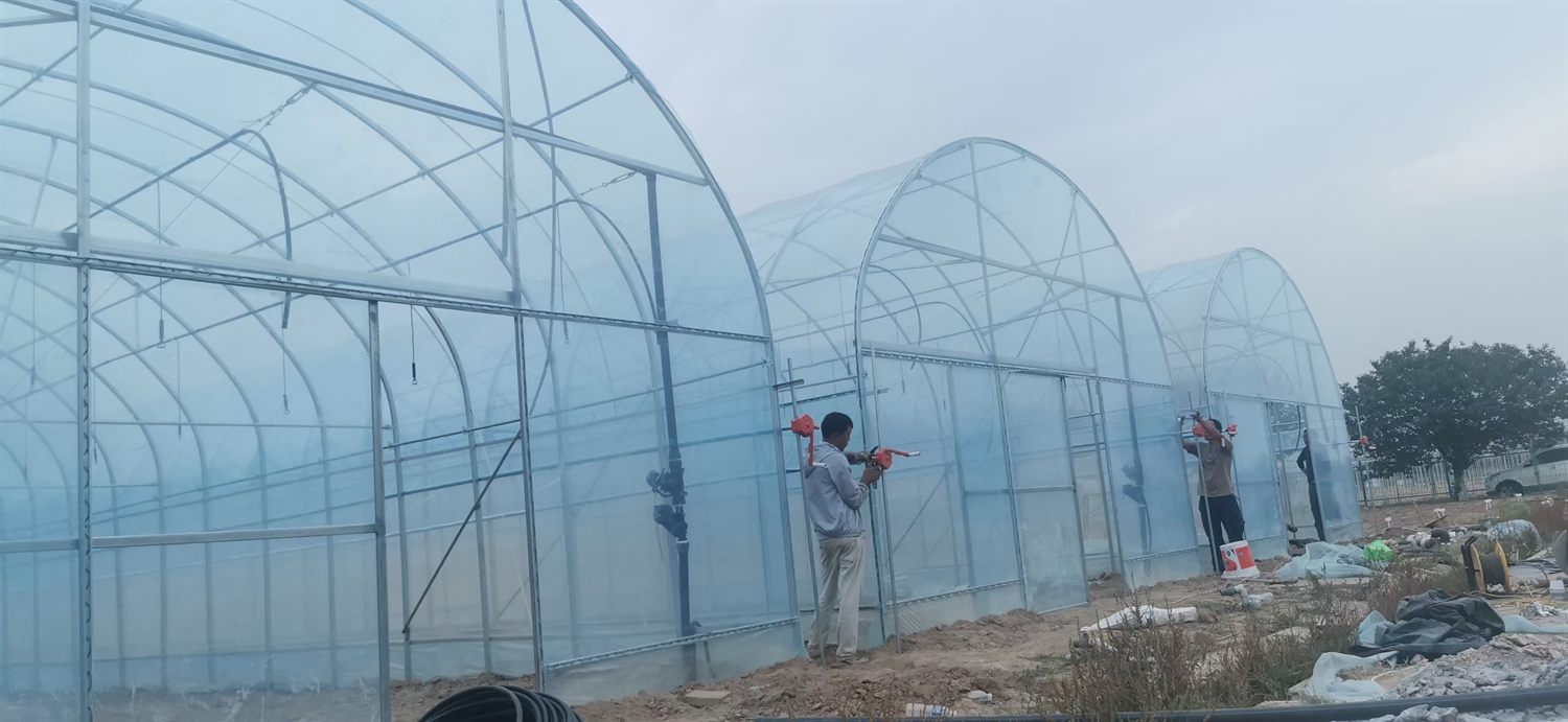 Exterior installation of multiple single-span greenhouses