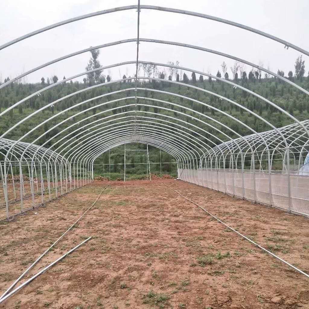 Single-span greenhouse galvanized frame under construction