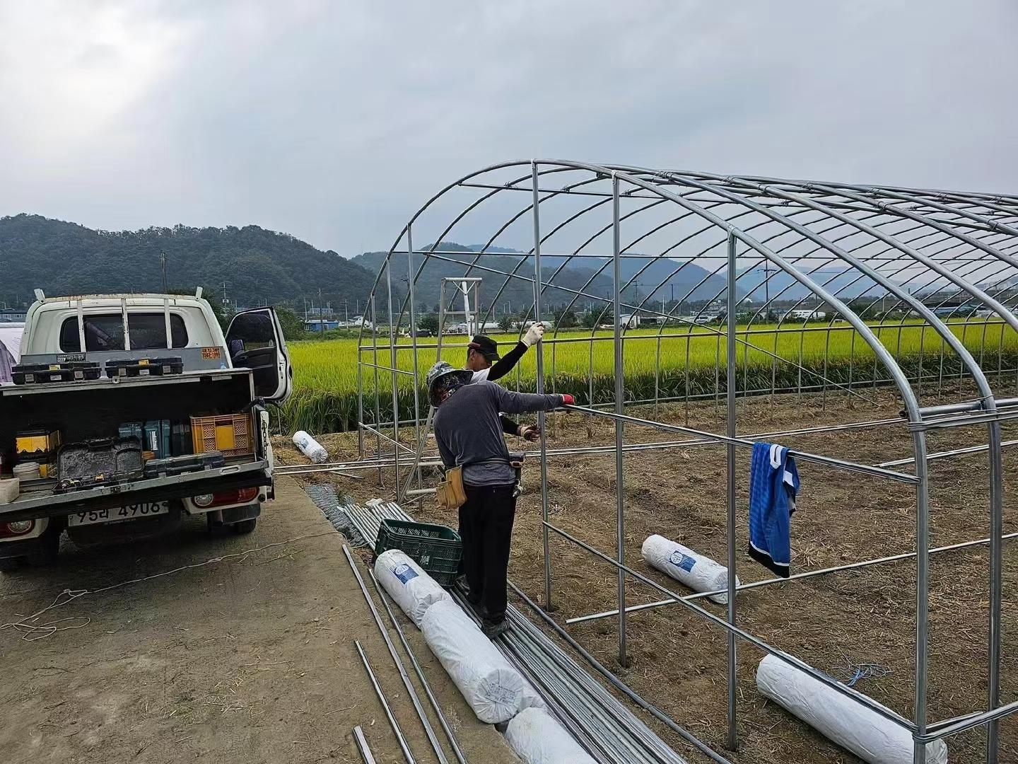 Workers assembling a tunnel greenhouse kit