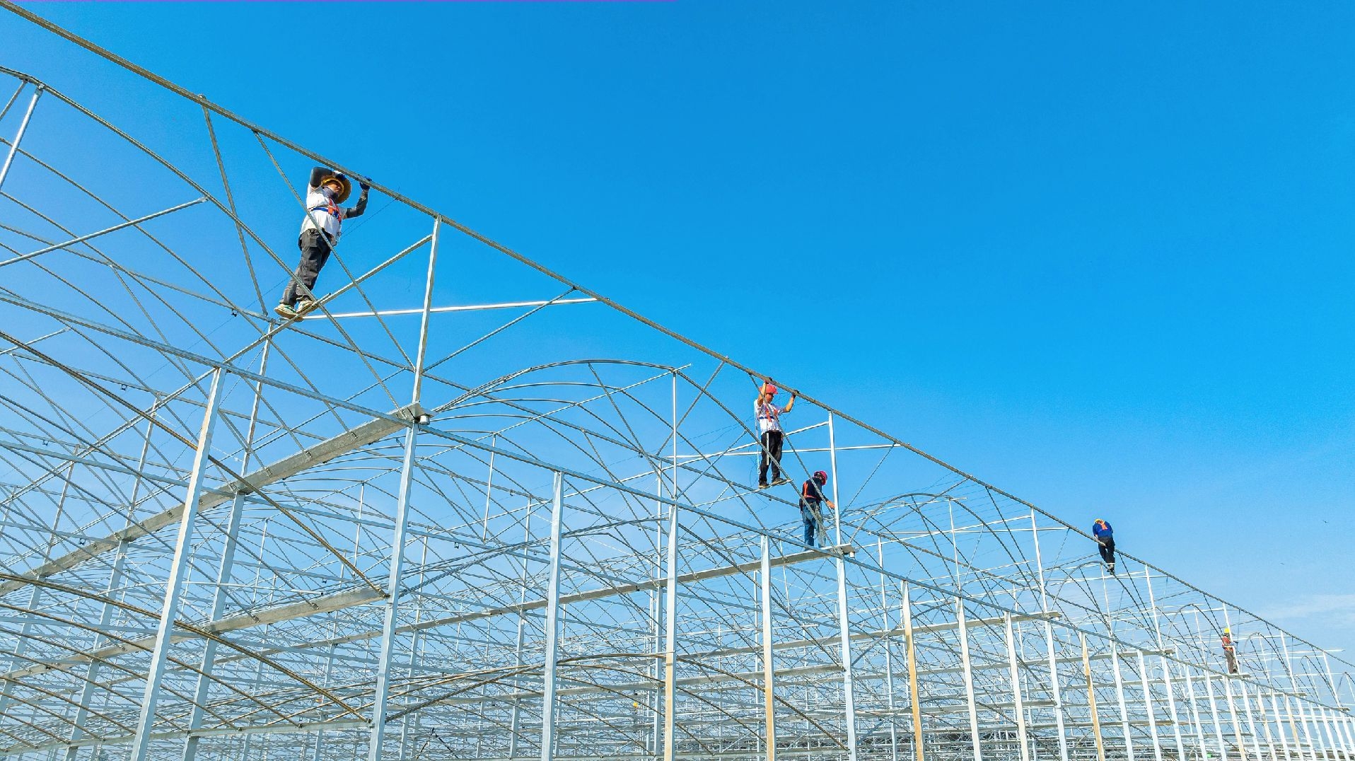 Installation crew working on greenhouse steel frame
