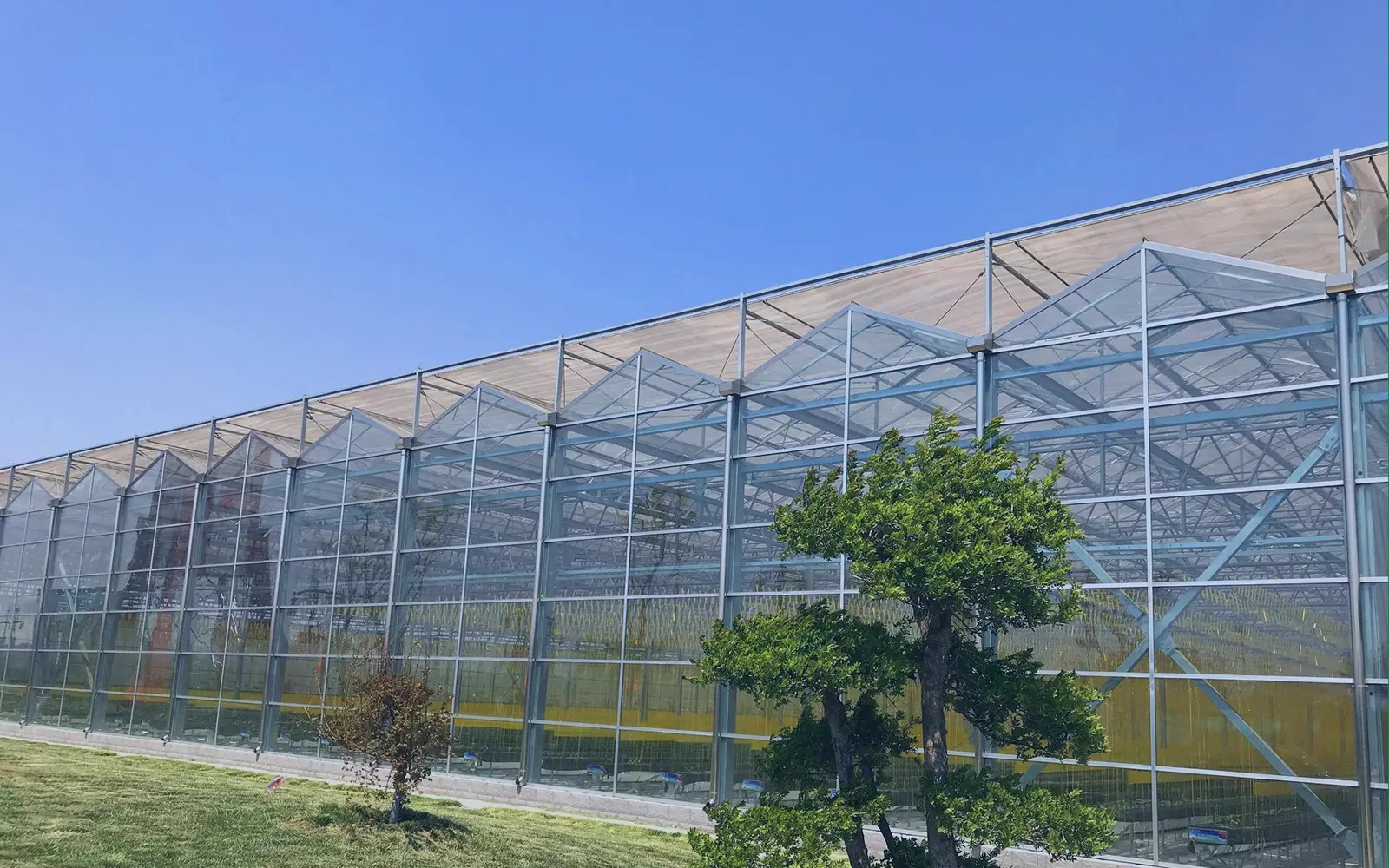 Film greenhouse farm site visit