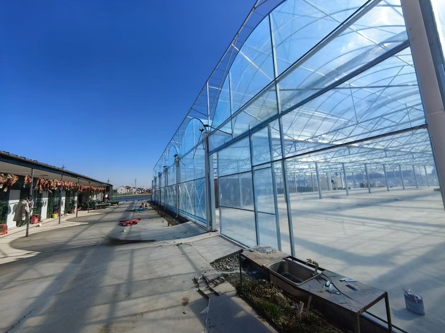 Multi-span film greenhouse exterior