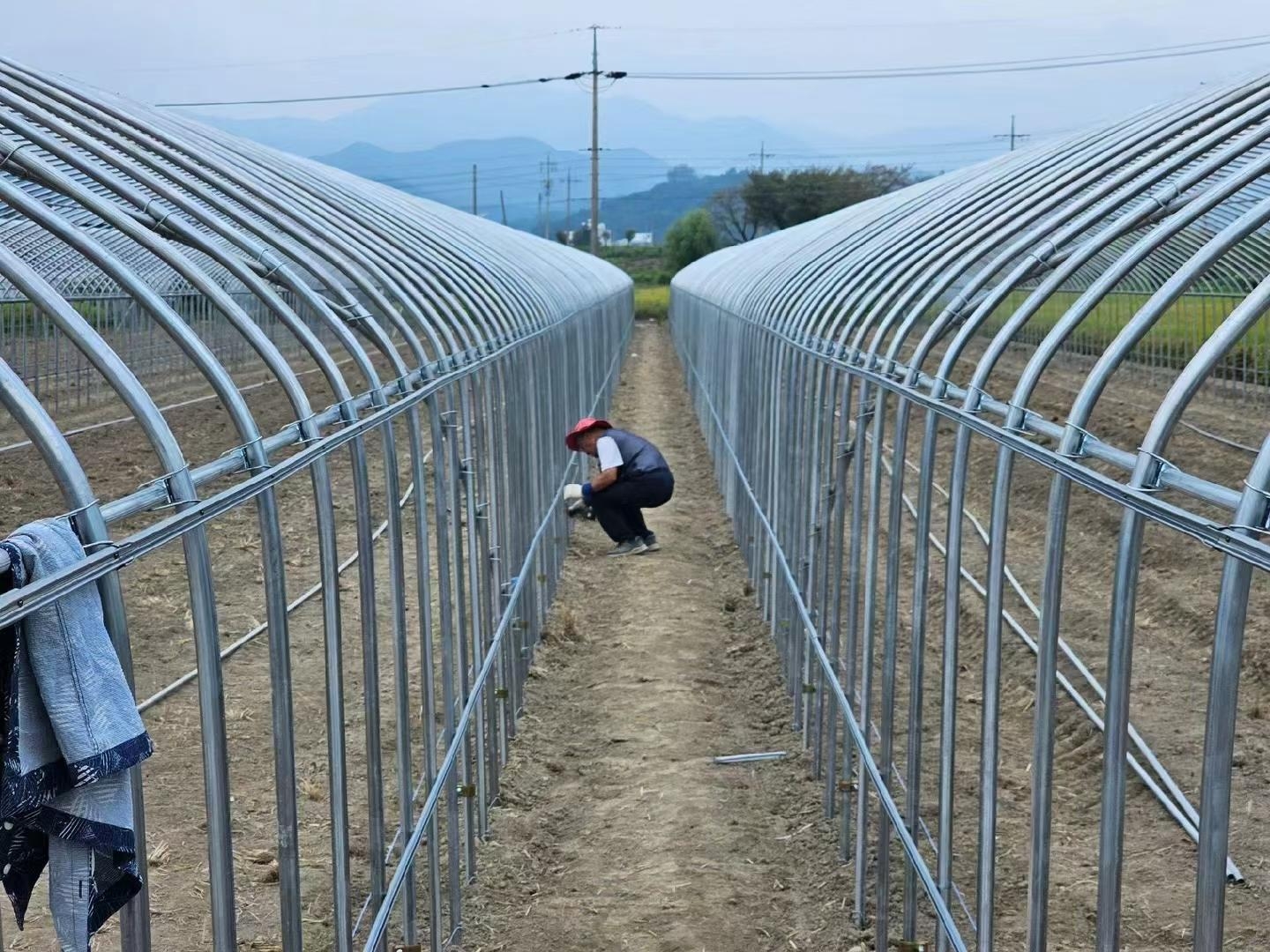 Single-span growing tunnel frame rows